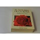 EL NOMBRE DE LA ROSA