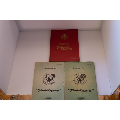 RECETARIO TURMIX BERRENS