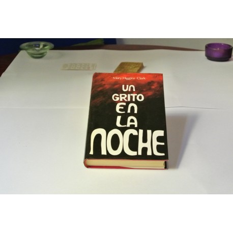 UN GRITO EN LA NOCHE